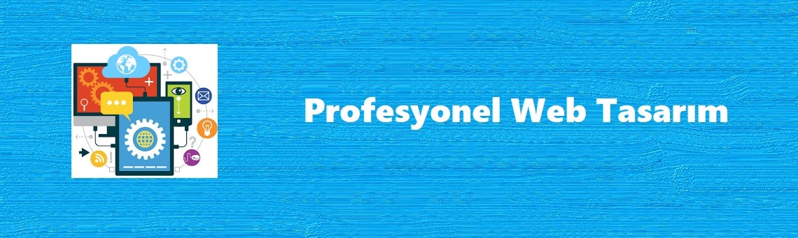 Profesyonel Web Tasarım