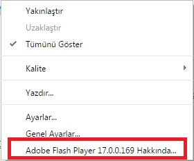 Flash İçerik Konrolü